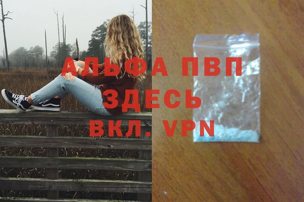 твердый Арсеньев
