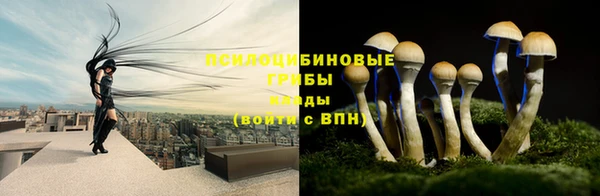 твердый Арсеньев