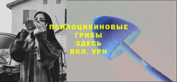 твердый Арсеньев