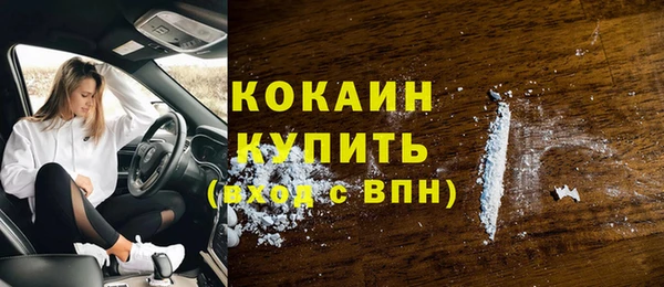 твердый Арсеньев