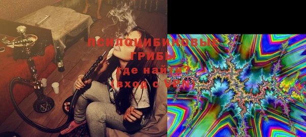 твердый Арсеньев