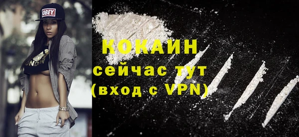 твердый Арсеньев